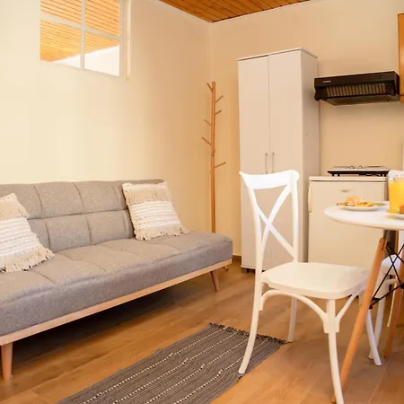 Lisa's Downtown Apartment *